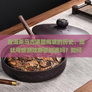 普洱茶马古道腊梅坡的历史、现状与旅游攻略你知道吗？如何探索云南普洱茶马古道腊梅坡的自然风光与文化遗产？