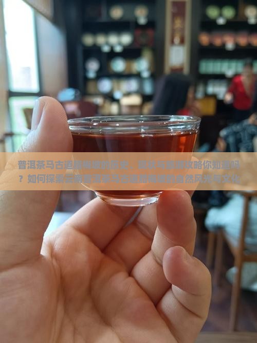 普洱茶马古道腊梅坡的历史、现状与旅游攻略你知道吗？如何探索云南普洱茶马古道腊梅坡的自然风光与文化遗产？