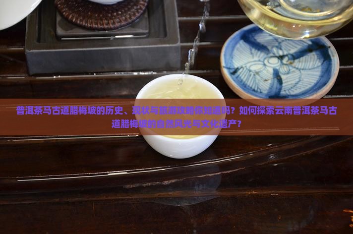 普洱茶马古道腊梅坡的历史、现状与旅游攻略你知道吗？如何探索云南普洱茶马古道腊梅坡的自然风光与文化遗产？