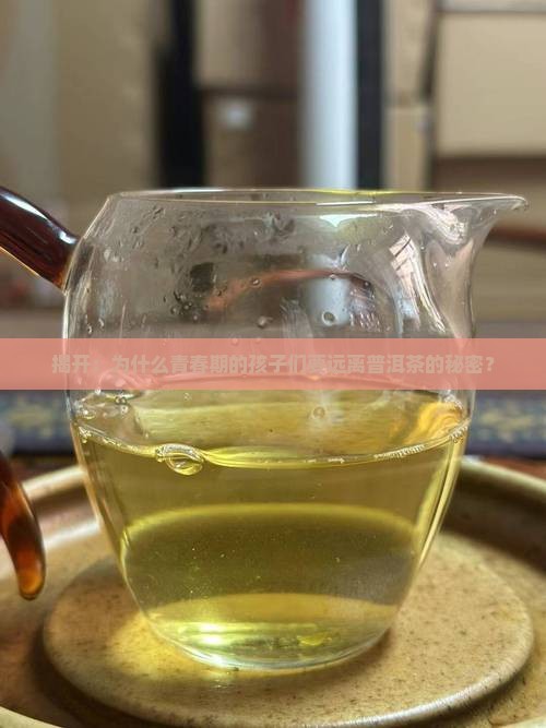 揭开：为什么青春期的孩子们要远离普洱茶的秘密？