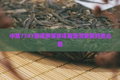 中茶7741普洱茶等级详解普洱茶爱好者必看