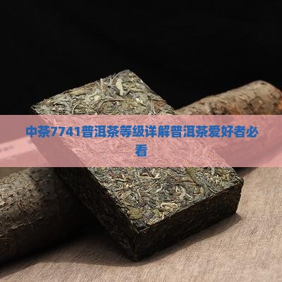 中茶7741普洱茶等级详解普洱茶爱好者必看