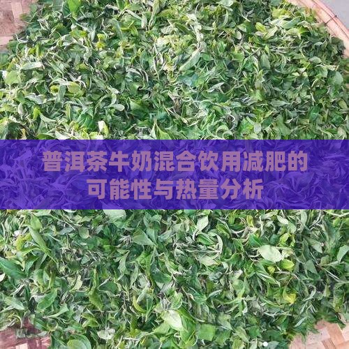 普洱茶牛奶混合饮用减肥的可能性与热量分析