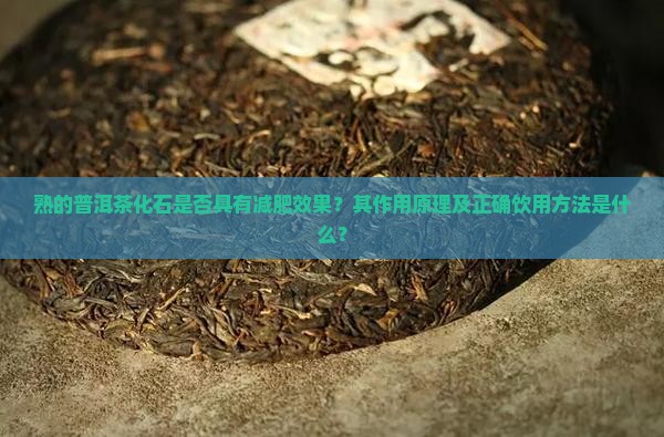 熟的普洱茶化石是否具有减肥效果？其作用原理及正确饮用方法是什么？
