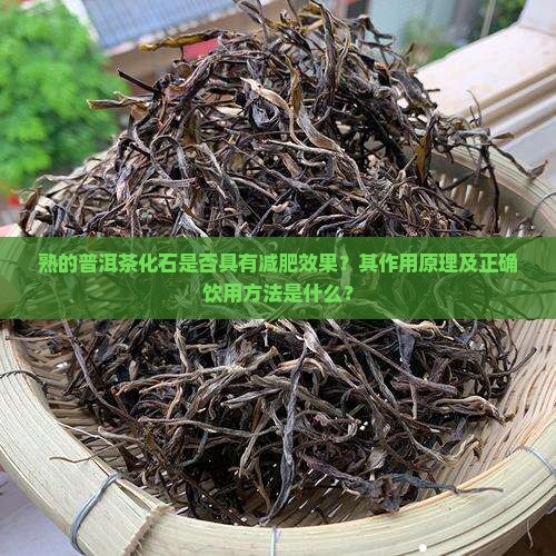 熟的普洱茶化石是否具有减肥效果？其作用原理及正确饮用方法是什么？