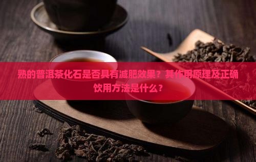 熟的普洱茶化石是否具有减肥效果？其作用原理及正确饮用方法是什么？
