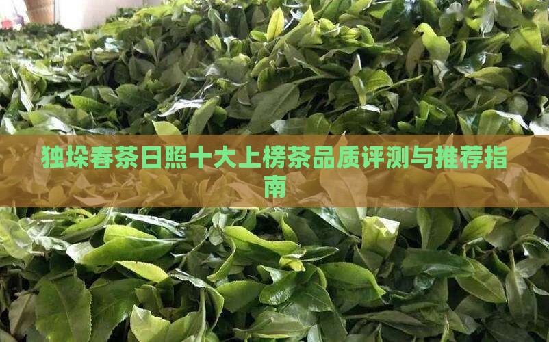独垛春茶日照十大上榜茶品质评测与推荐指南