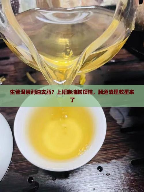生普洱茶刮油去脂？上班族油腻烦恼，肠道清理救星来了