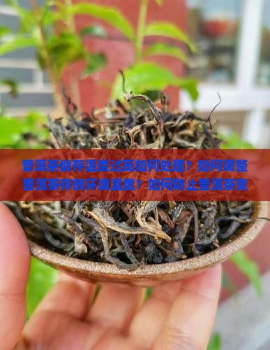 普洱茶储存温度过高如何处理？如何调整普洱茶存放环境温度？如何防止普洱茶变质？