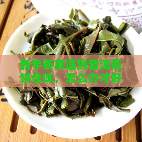新手茶友遇到普洱茶饼仓味，怎么办才好？