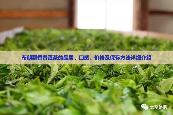 布朗飘香普洱茶的品质、口感、价格及保存方法详细介绍
