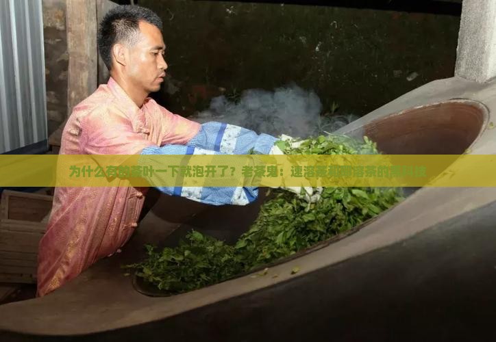 为什么有的茶叶一下就泡开了？老茶鬼：速溶茶和即溶茶的黑科技