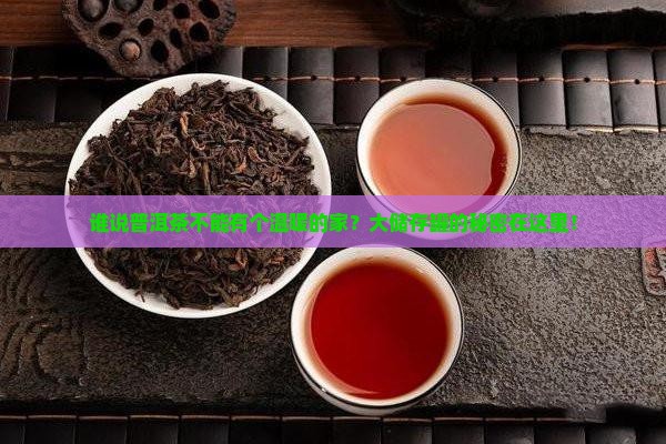 谁说普洱茶不能有个温暖的家？大储存罐的秘密在这里！