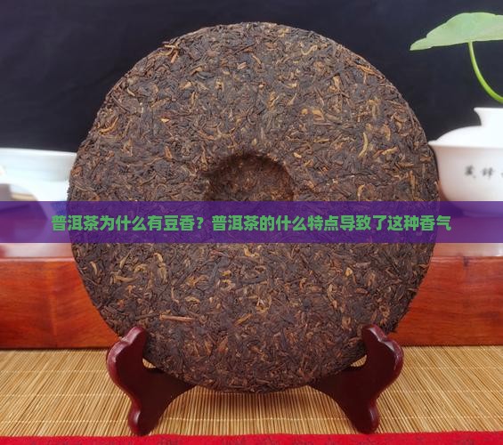 普洱茶为什么有豆香？普洱茶的什么特点导致了这种香气