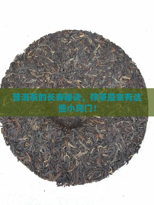 普洱茶的长寿秘诀，存茶原来有这些小窍门！