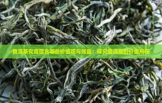 普洱茶究竟蕴含哪些价值观与效益：探究普洱茶的价值所在