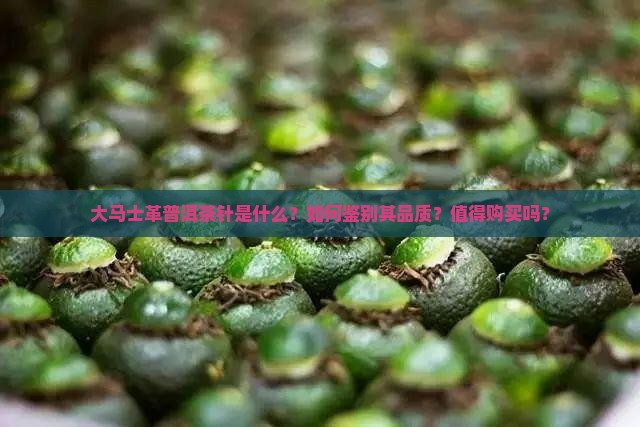 大马士革普洱茶针是什么？如何鉴别其品质？值得购买吗？