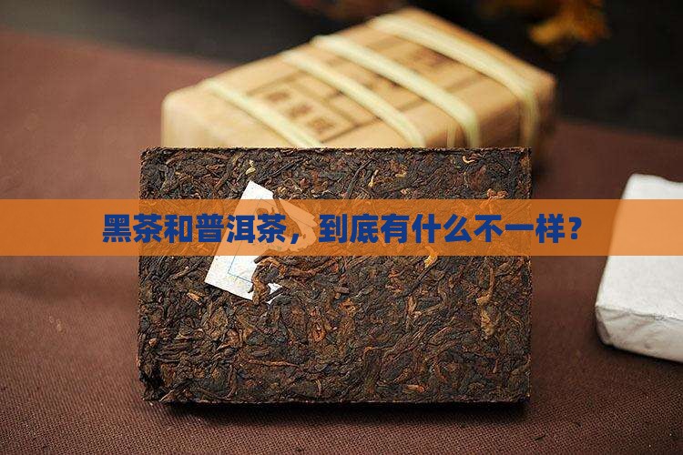 黑茶和普洱茶，到底有什么不一样？