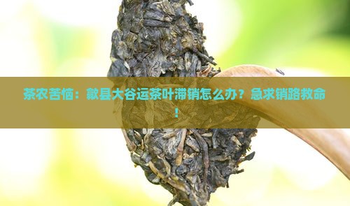 茶农苦恼：歙县大谷运茶叶滞销怎么办？急求销路救命！