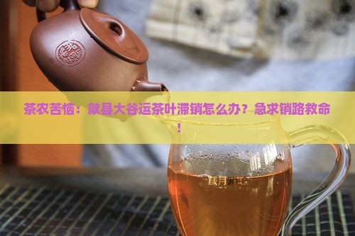 茶农苦恼：歙县大谷运茶叶滞销怎么办？急求销路救命！