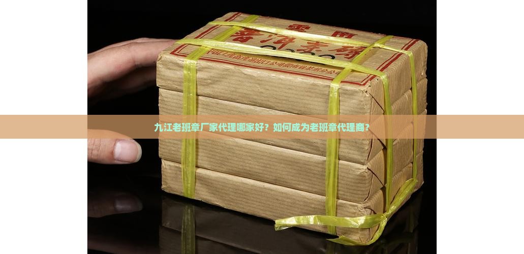 九江老班章厂家代理哪家好？如何成为老班章代理商？