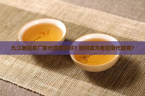九江老班章厂家代理哪家好？如何成为老班章代理商？
