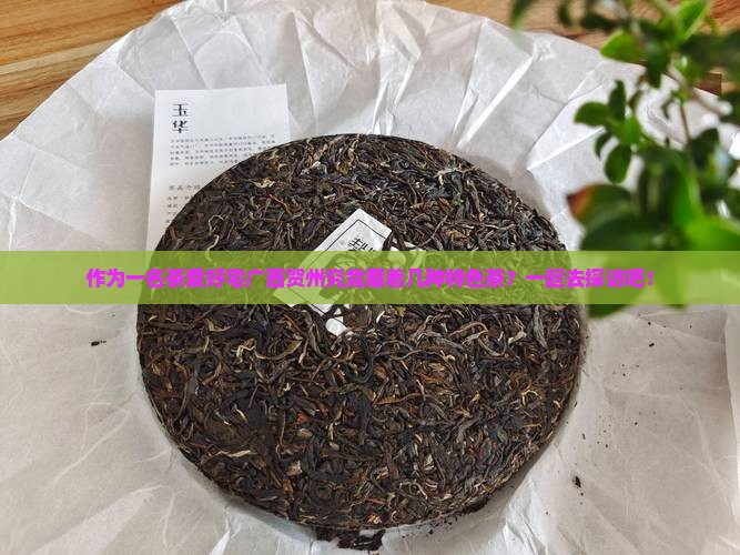 作为一名茶爱好宅广西贺州究竟藏着几种特色茶？一起去探访吧！