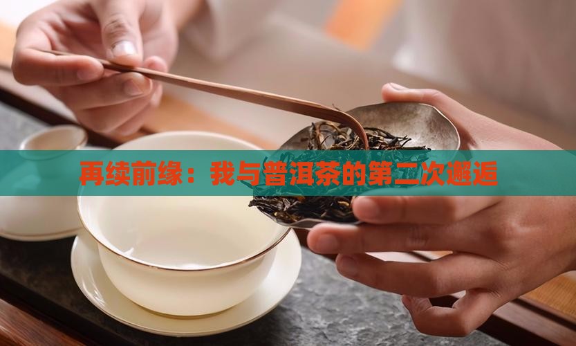 再续前缘：我与普洱茶的第二次邂逅