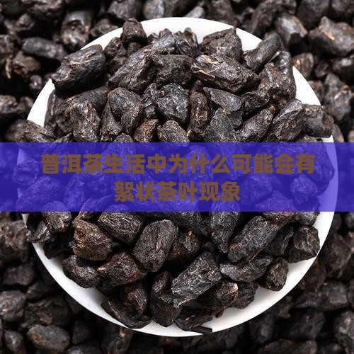 普洱茶生活中为什么可能会有絮状茶叶现象