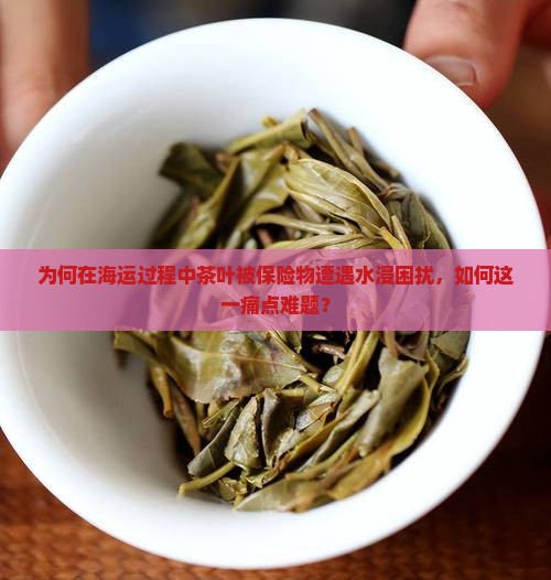 为何在海运过程中茶叶被保险物遭遇水浸困扰，如何这一痛点难题？