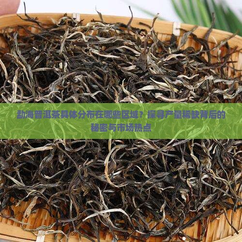 勐海普洱茶具体分布在哪些区域？探寻产量稀缺背后的秘密与市场热点