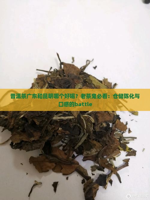 普洱茶广东和昆明哪个好喝？老茶鬼必看：仓储陈化与口感的battle