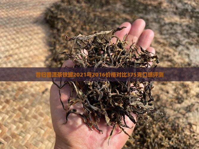 昔归普洱茶铁罐2021与2016价格对比375克口感评测