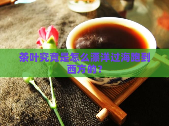 茶叶究竟是怎么漂洋过海跑到西方的？