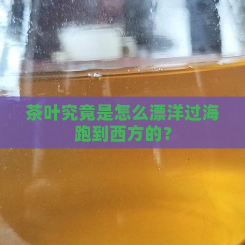 茶叶究竟是怎么漂洋过海跑到西方的？