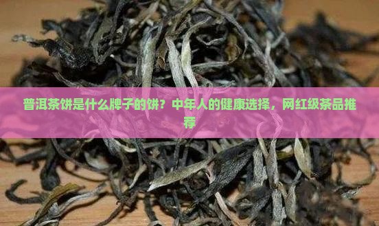 普洱茶饼是什么牌子的饼？中年人的健康选择，网红级茶品推荐