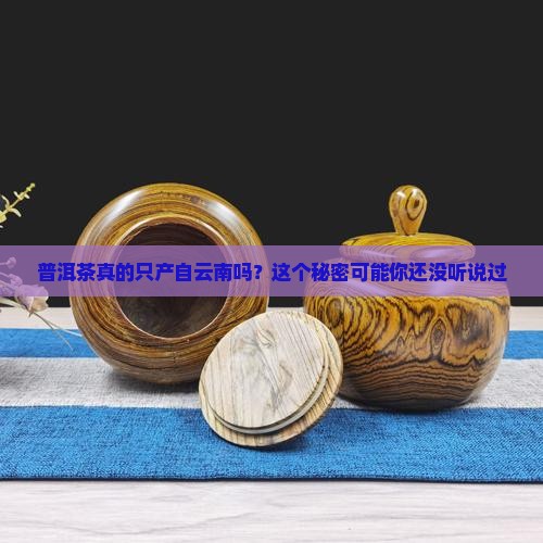 普洱茶真的只产自云南吗？这个秘密可能你还没听说过