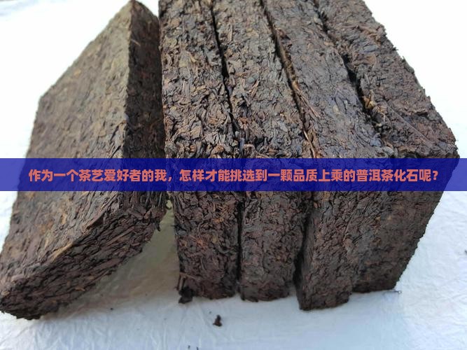 作为一个茶艺爱好者的我，怎样才能挑选到一颗品质上乘的普洱茶化石呢？