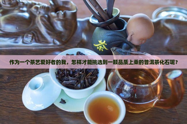 作为一个茶艺爱好者的我，怎样才能挑选到一颗品质上乘的普洱茶化石呢？