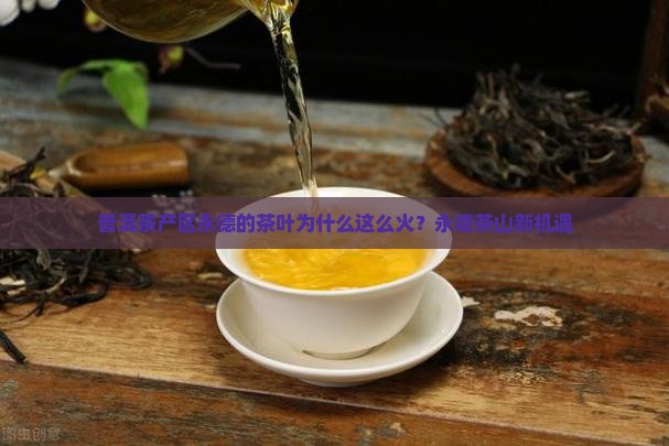 普洱茶产区永德的茶叶为什么这么火？永德茶山新机遇