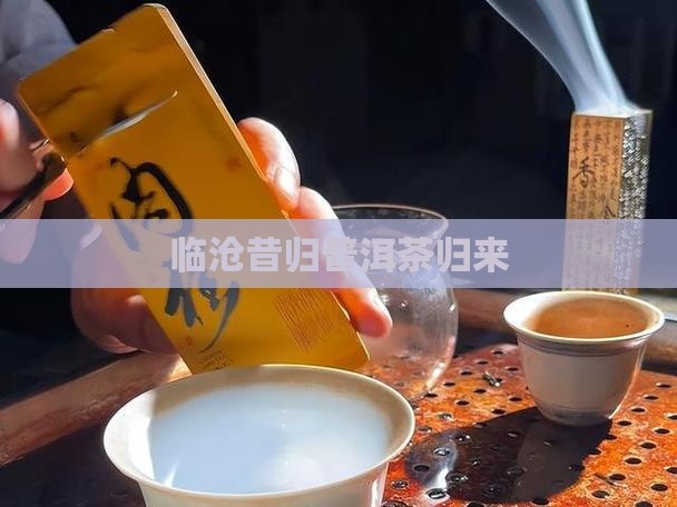 临沧昔归普洱茶归来