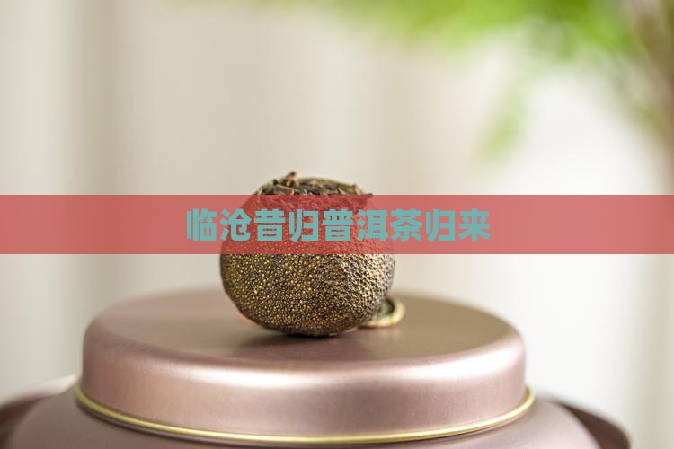 临沧昔归普洱茶归来