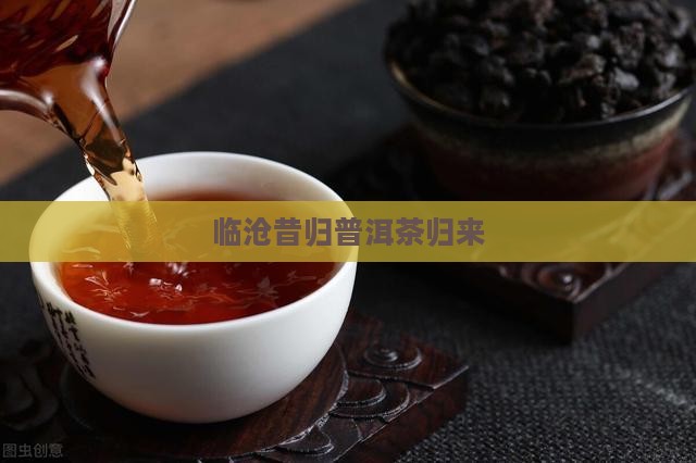 临沧昔归普洱茶归来