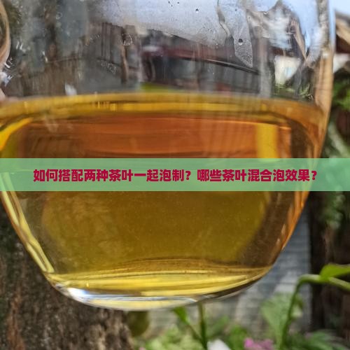 如何搭配两种茶叶一起泡制？哪些茶叶混合泡效果？