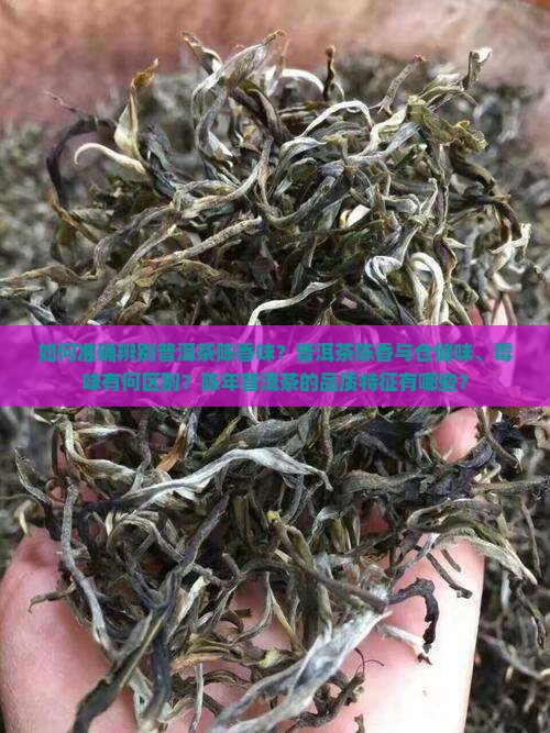 如何准确辨别普洱茶陈香味？普洱茶陈香与仓储味、霉味有何区别？陈年普洱茶的品质特征有哪些？