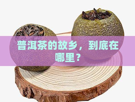 普洱茶的故乡，到底在哪里？