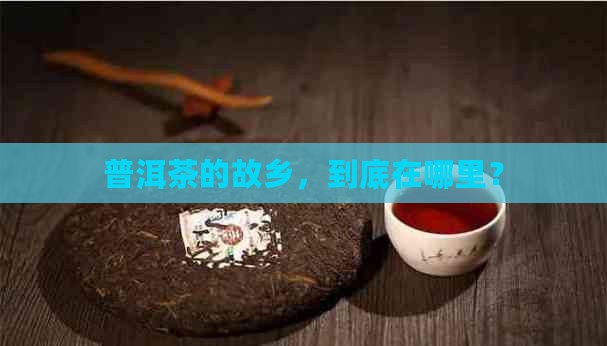 普洱茶的故乡，到底在哪里？