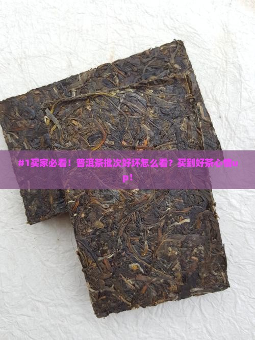 #1买家必看！普洱茶批次好坏怎么看？买到好茶心情up！