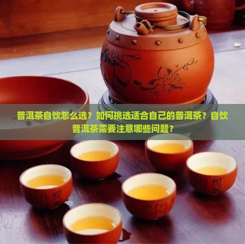 普洱茶自饮怎么选？如何挑选适合自己的普洱茶？自饮普洱茶需要注意哪些问题？