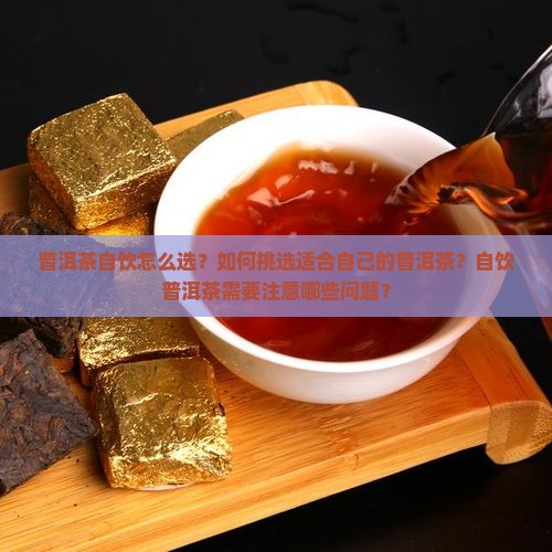 普洱茶自饮怎么选？如何挑选适合自己的普洱茶？自饮普洱茶需要注意哪些问题？